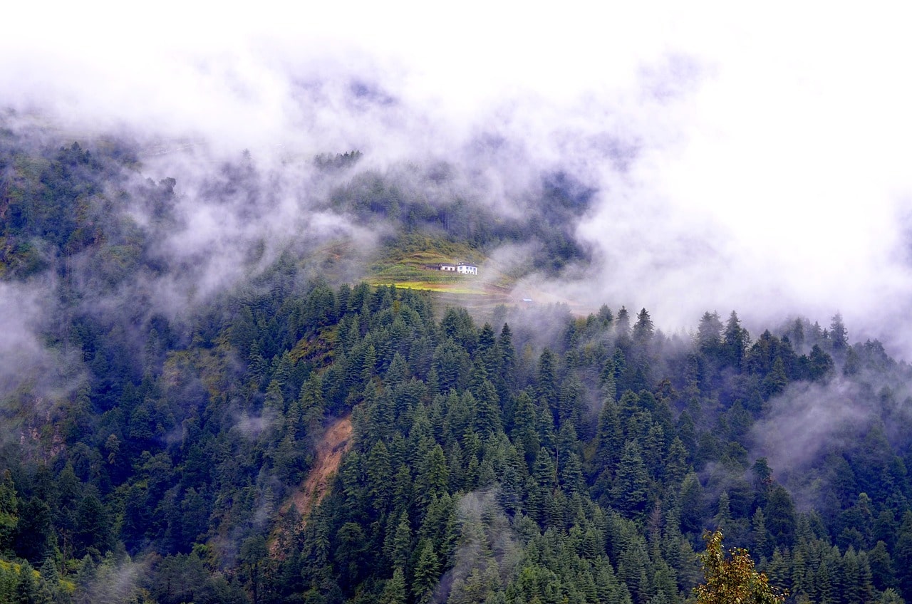 Annapurna Base Camp Trek: A Journey Through Nature’s Majesty
